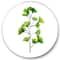 Designart - Green Field Plant Foliage - Farmhouse Metal Circle Wall Art